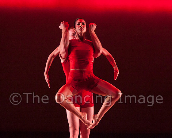 RED 2013_6858