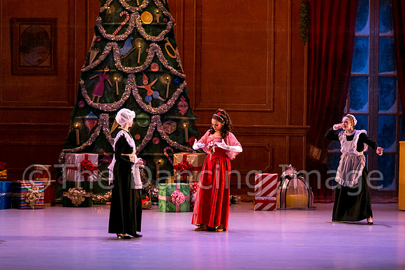 Nutcracker Sat-2771
