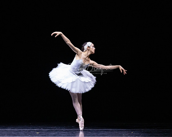 Dying Swan pc Sharen Bradford-1254