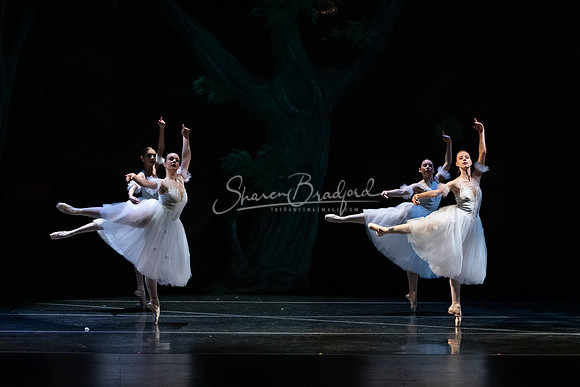 Ballet NTX Sleeping Beauty pc Sharen Bradford-1415