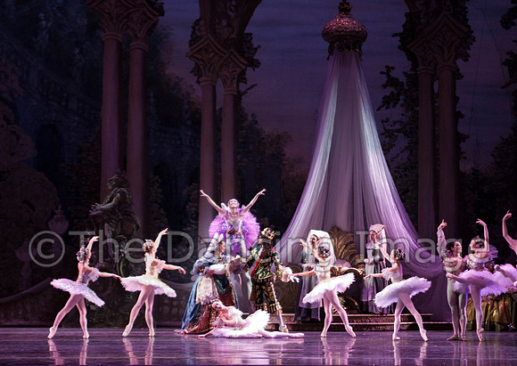 TB Sleeping Beauty Wed.-0002