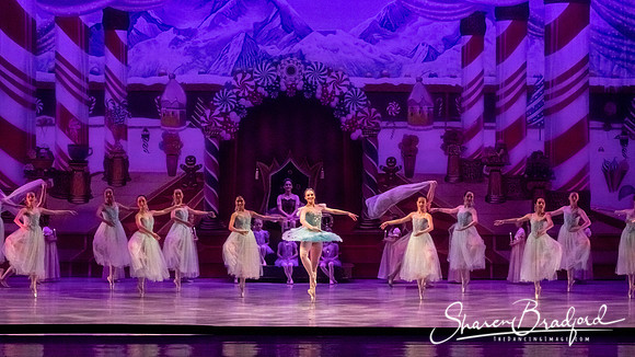 CCBT Nutcracker 19 pc Sharen Bradford-5278
