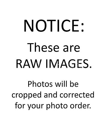 001 Notice RAW Images