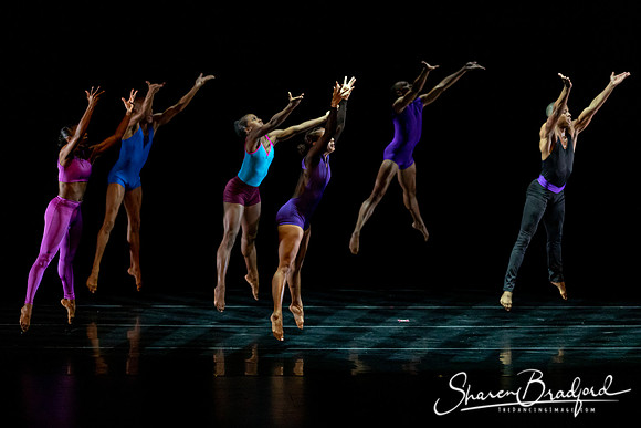 DBDT Execution of a Sentiment pc Sharen Bradford-1149