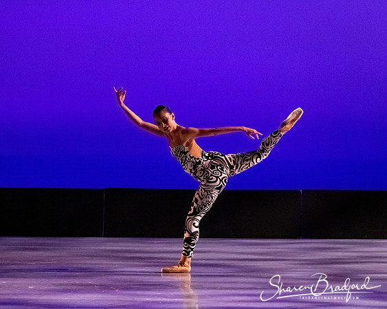 Ballet 37 pc Sharen Bradford-0482
