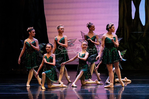 BNTX Midsummer Nights Dream 2023 pc Sharen Bradford-0339