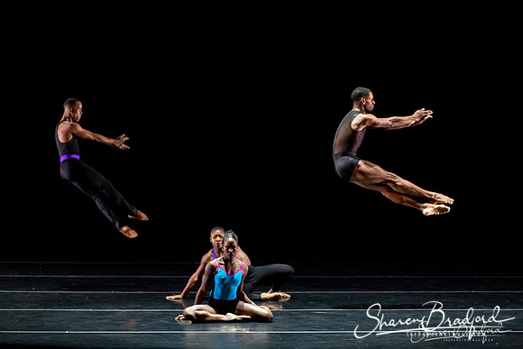 DBDT Execution of a Sentiment pc Sharen Bradford-0933