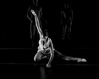 Sharp Show-0394