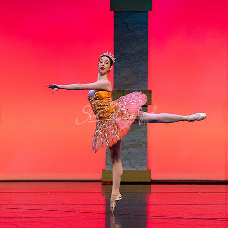 Ballet NTX Sleeping Beauty pc Sharen Bradford-0178