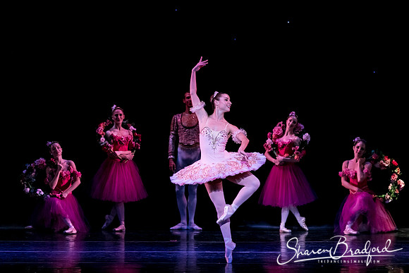 Nutcracker eve pc Sharen Bradford-6977