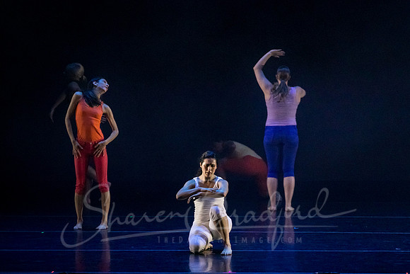 imPULSE dance project pc Sharen Bradford-4184