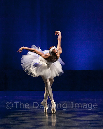 Dying Swan_0300
