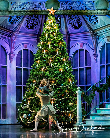 Nutcracker evening pc Sharen Bradford-6372