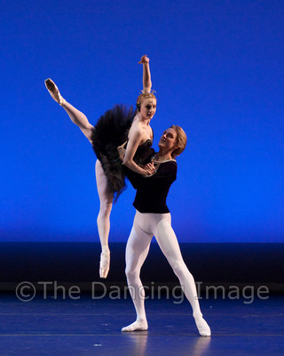 Black Swan-1113