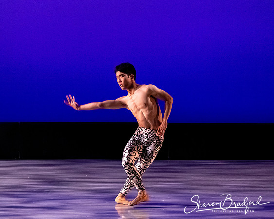 Ballet 37 pc Sharen Bradford-0456