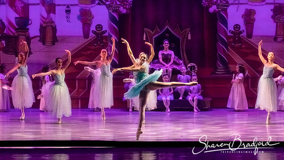 CCBT Nutcracker 19 pc Sharen Bradford-5291