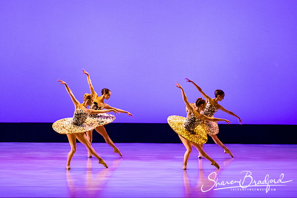 Ballet 37 pc Sharen Bradford-0351