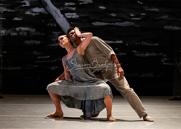BWDD Wayfarers Song 11-16-24 pc Sharen Bradford-4814