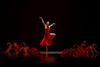 Subconscious Motion pc Sharen Bradford-1167