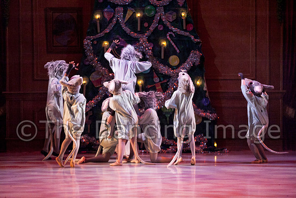 CPA Sat Nutcracker-4409