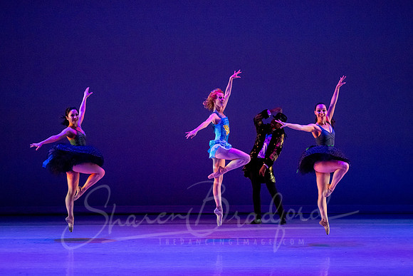 Circus Alius - pc Sharen Bradford-0559