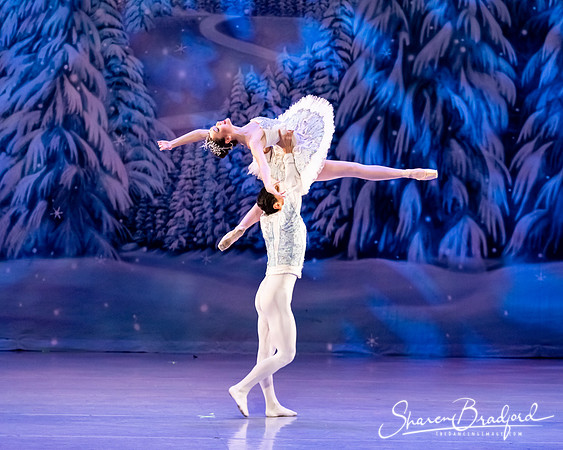 CCBT Nutcracker 19 pc Sharen Bradford-4855