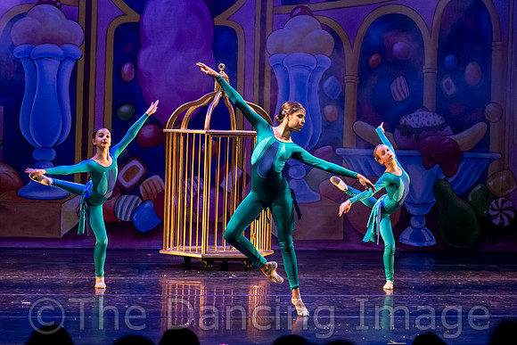 Royale Ballet Nutcracker-1792