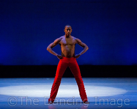 Alvin Ailey ADT-0075