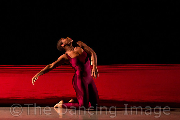 DBDT Encore-8665