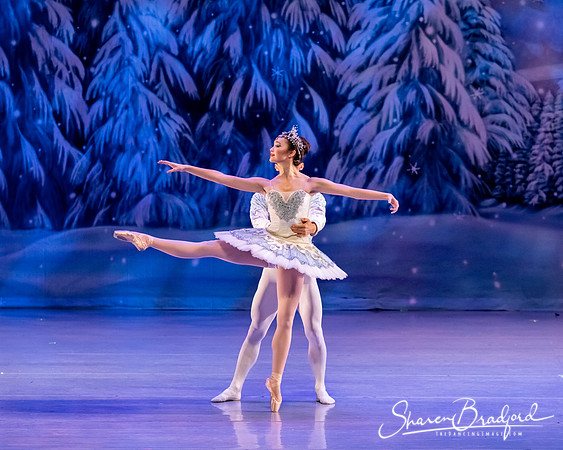 CCBT Nutcracker 19 pc Sharen Bradford-4822