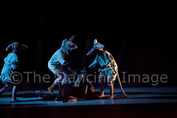 CPA Sat Nutcracker-4452