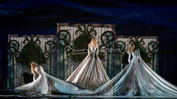 Momix ALICE 9-17-21 pc Sharen Bradford-1415