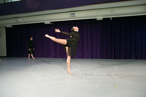Abundance pc Sharen Bradford-0762