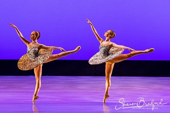 Ballet 37 pc Sharen Bradford-0261