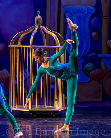 Royale Ballet Nutcracker-1846
