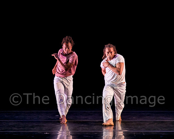 Dance Brazil-1239