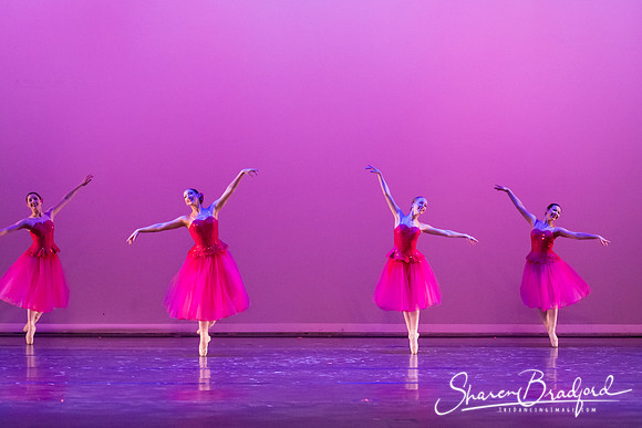 Waltz of the Flowers pc Sharen Bradford-2740