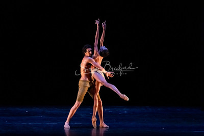 Migration_Lines  Ballet pc Sharen Bradford-41925