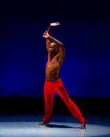 Alvin Ailey ADT-0017