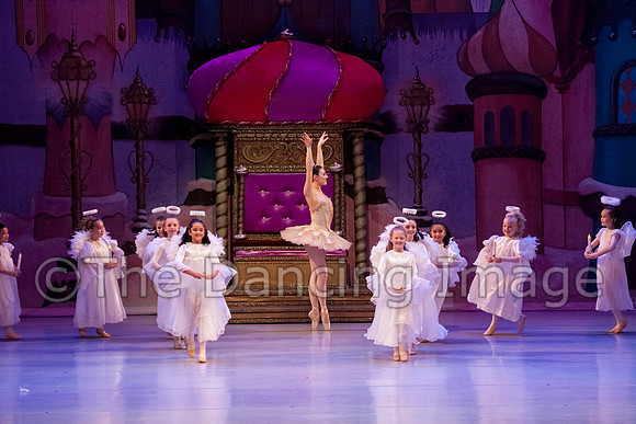 IMG_1217