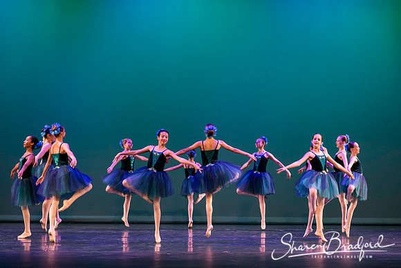 Khachaturian Waltz pc Sharen Bradford-3665