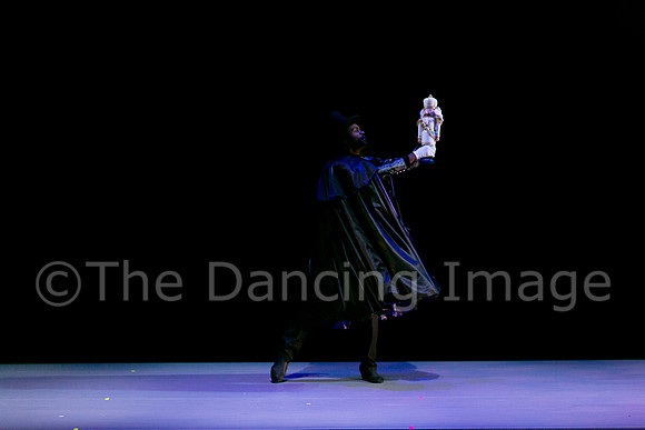 Nutcracker Sat-2693