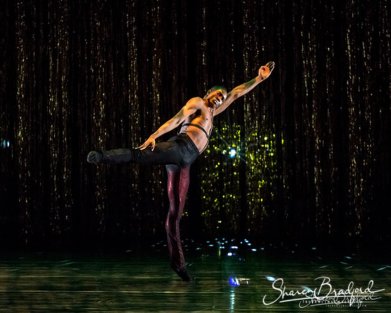Stardust-pc Sharen Bradford-1609