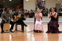 Flamenco-2-2
