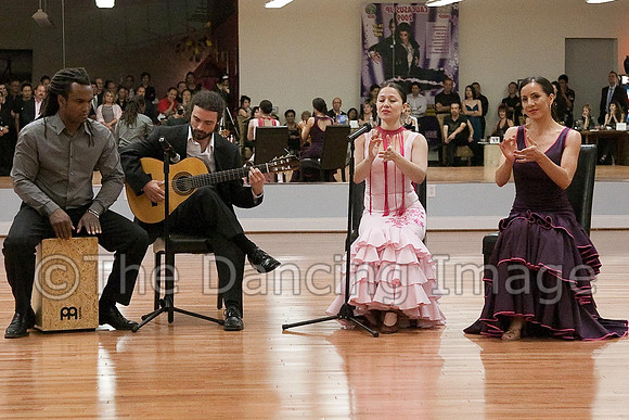 Flamenco-2-2