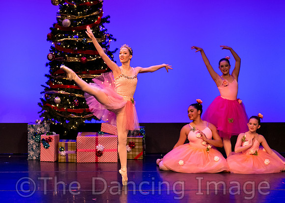 Clara's Dream - pc Sharen Bradford-9276