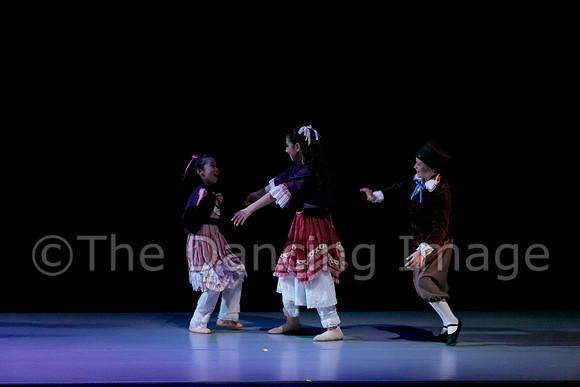 Nutcracker Sat-2723