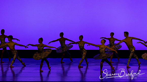 Ballet 37 pc Sharen Bradford-0208
