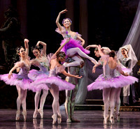 TB Sleeping Beauty Wed.-0038
