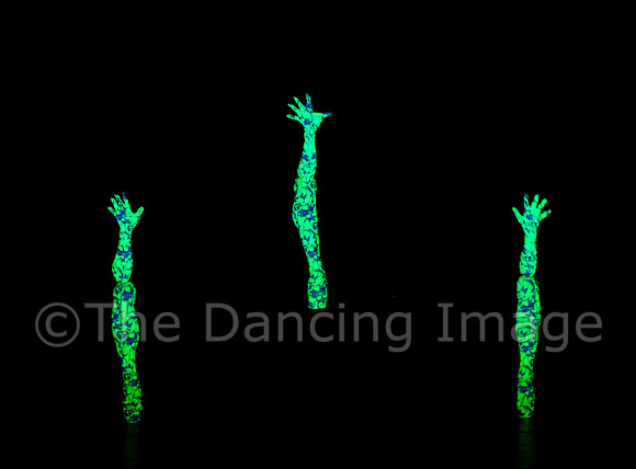 Botanica-0066